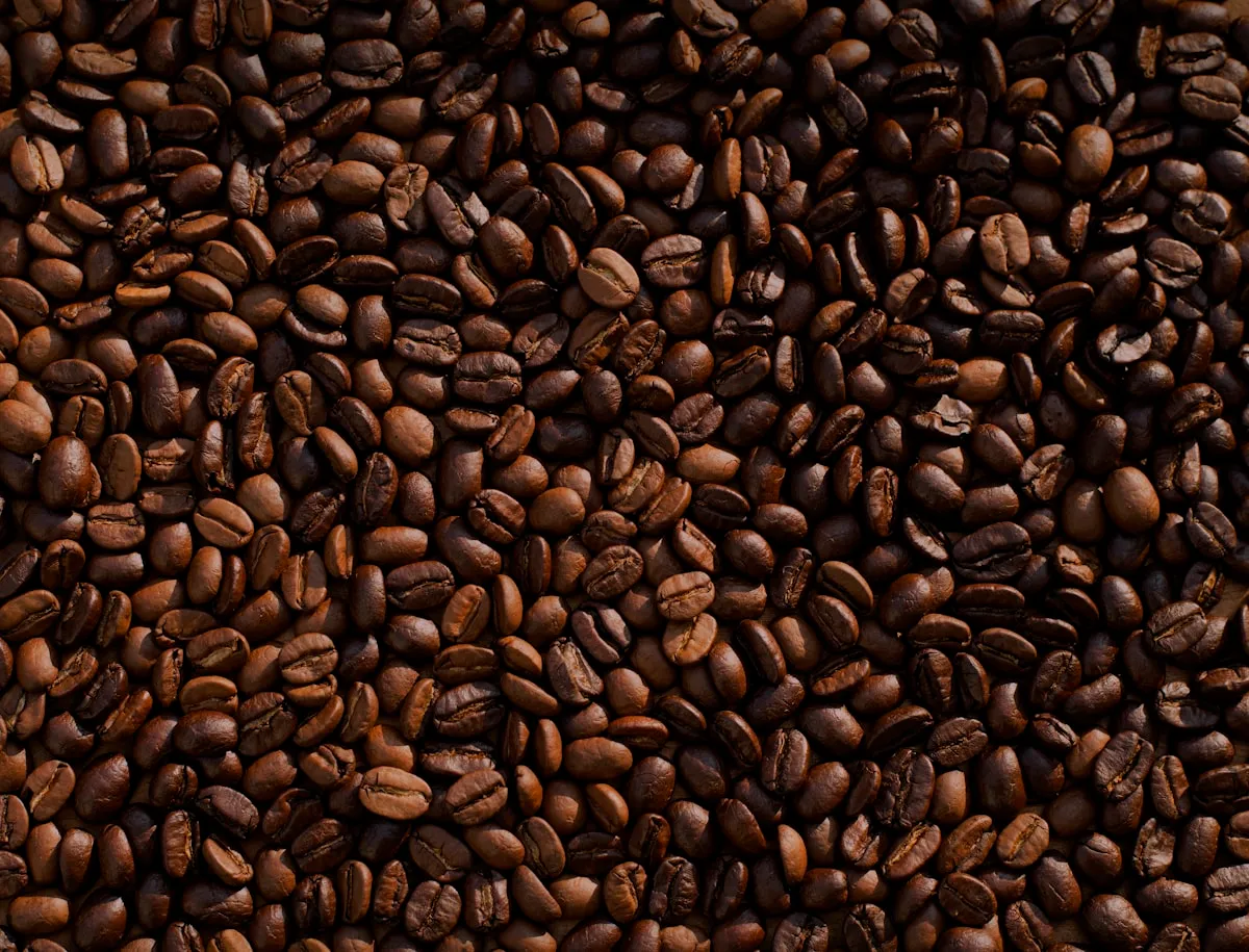 Neutral close-up of roasted coffee beans